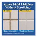 Disinfects Instant Mildew Remover, 32 Oz Smart Tube Spray