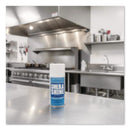 Sheila Shine Stainless Steel Cleaner and Polish, 10 oz Aerosol Spray