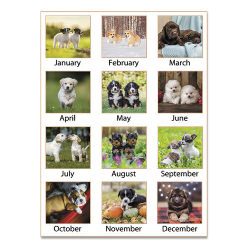 AT-A-GLANCE® wholesale. Puppies Monthly Desk Pad Calendar, 22 X 17, 2021. HSD Wholesale: Janitorial Supplies, Breakroom Supplies, Office Supplies.