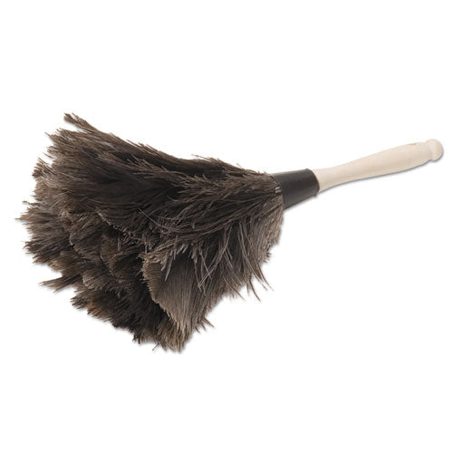 Boardwalk® wholesale. Boardwalk Professional Ostrich Feather Duster, 4" Handle. HSD Wholesale: Janitorial Supplies, Breakroom Supplies, Office Supplies.