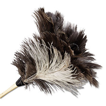 Load image into Gallery viewer, Boardwalk® wholesale. Boardwalk Professional Ostrich Feather Duster, 7&quot; Handle. HSD Wholesale: Janitorial Supplies, Breakroom Supplies, Office Supplies.