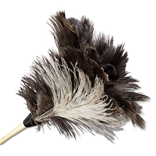 Boardwalk® wholesale. Boardwalk Professional Ostrich Feather Duster, 7" Handle. HSD Wholesale: Janitorial Supplies, Breakroom Supplies, Office Supplies.