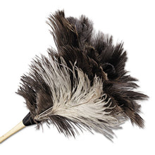 Load image into Gallery viewer, Boardwalk® wholesale. Boardwalk Professional Ostrich Feather Duster, 13&quot; Handle. HSD Wholesale: Janitorial Supplies, Breakroom Supplies, Office Supplies.