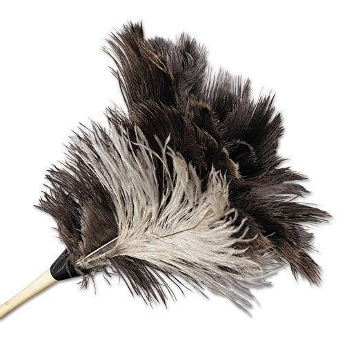 Boardwalk® wholesale. Boardwalk Professional Ostrich Feather Duster, 13" Handle. HSD Wholesale: Janitorial Supplies, Breakroom Supplies, Office Supplies.