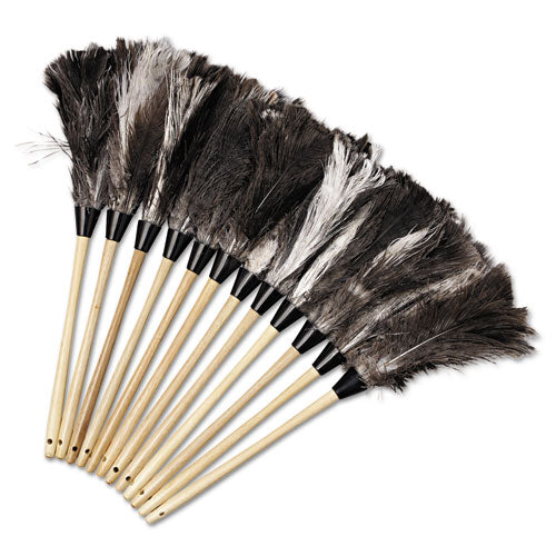 Boardwalk® wholesale. Boardwalk Professional Ostrich Feather Duster, 13" Handle. HSD Wholesale: Janitorial Supplies, Breakroom Supplies, Office Supplies.