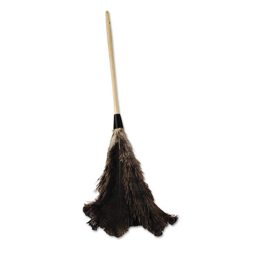 Boardwalk® wholesale. Boardwalk Professional Ostrich Feather Duster, 16" Handle. HSD Wholesale: Janitorial Supplies, Breakroom Supplies, Office Supplies.