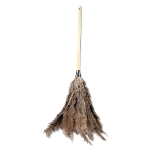 Boardwalk® wholesale. Boardwalk Professional Ostrich Feather Duster, 16" Handle. HSD Wholesale: Janitorial Supplies, Breakroom Supplies, Office Supplies.