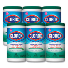 Load image into Gallery viewer, Disinfecting Wipes, Fresh Scent, 7 X 8, White, 75-canister, 6 Canisters-carton