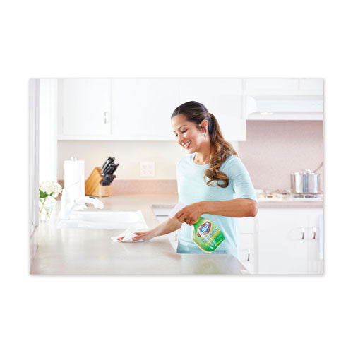 Clorox® wholesale. Clorox Clean-up Cleaner + Bleach, Original, 32 Oz Spray Bottle, 9-carton. HSD Wholesale: Janitorial Supplies, Breakroom Supplies, Office Supplies.