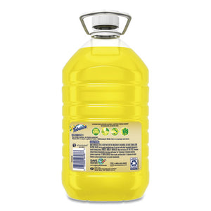 Fabuloso® wholesale. Fabuloso® Multi-use Cleaner, Lemon Scent, 169 Oz Bottle. HSD Wholesale: Janitorial Supplies, Breakroom Supplies, Office Supplies.