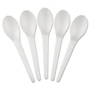 Eco-Products® wholesale. Plantware Compostable Cutlery, Spoon, 6", Pearl White, 50-pack, 20 Pack-carton. HSD Wholesale: Janitorial Supplies, Breakroom Supplies, Office Supplies.
