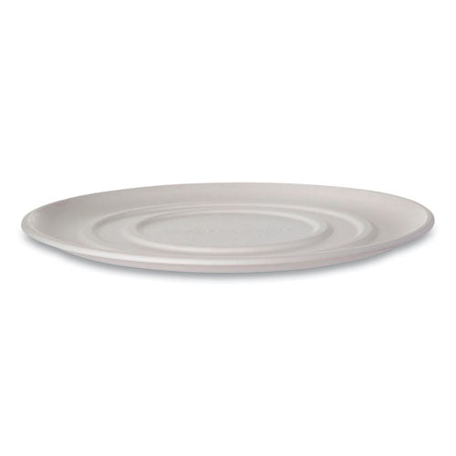 Eco-Products® wholesale. Worldview Sugarcane Pizza Trays, 16 X 16 X 02, White, 50-carton. HSD Wholesale: Janitorial Supplies, Breakroom Supplies, Office Supplies.