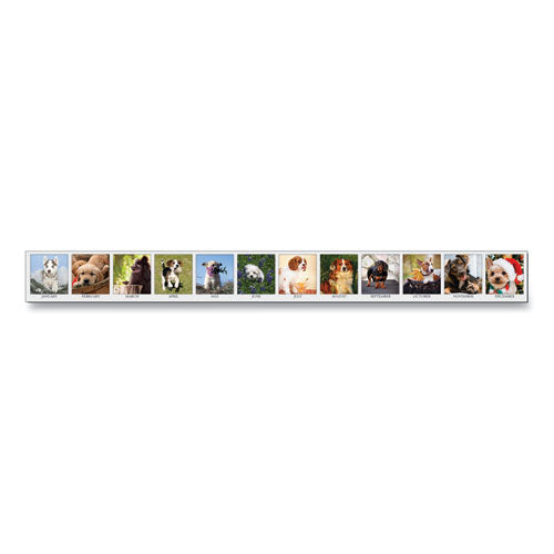 House of Doolittle™ wholesale. Recycled Puppy Photos Desk Tent Monthly Calendar, 8.5 X 4.5, 2021. HSD Wholesale: Janitorial Supplies, Breakroom Supplies, Office Supplies.