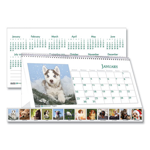 House of Doolittle™ wholesale. Recycled Puppy Photos Desk Tent Monthly Calendar, 8.5 X 4.5, 2021. HSD Wholesale: Janitorial Supplies, Breakroom Supplies, Office Supplies.