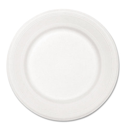 Chinet® wholesale. Paper Dinnerware, Plate, 10 1-2" Dia, White, 500-carton. HSD Wholesale: Janitorial Supplies, Breakroom Supplies, Office Supplies.