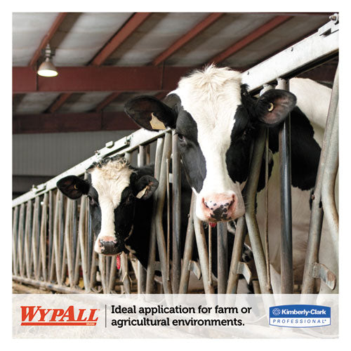 WypAll® wholesale. L10 Sani-prep Dairy Towels, Banded, 1-ply, 10 1-2 X 9 3-10, 200-pk, 12 Pk-carton. HSD Wholesale: Janitorial Supplies, Breakroom Supplies, Office Supplies.