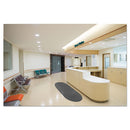 Guardian wholesale. Ecoguard Diamond Floor Mat, Double Fan, 36 X 96, Charcoal. HSD Wholesale: Janitorial Supplies, Breakroom Supplies, Office Supplies.