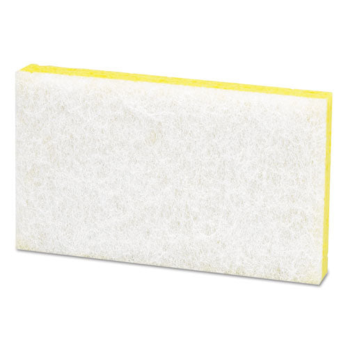 Scotch-Brite™ PROFESSIONAL wholesale. Light-duty Scrubbing Sponge,