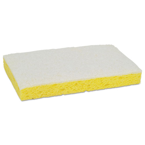 Scotch-Brite™ PROFESSIONAL wholesale. Light-duty Scrubbing Sponge,
