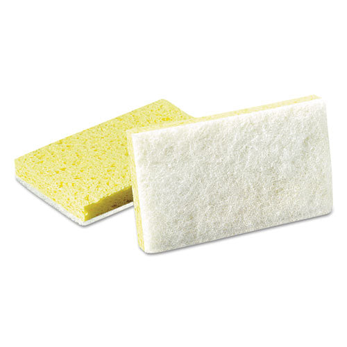 Scotch-Brite™ PROFESSIONAL wholesale. Light-duty Scrubbing Sponge,