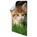 Command™ wholesale. Poster Strips, 5-8" X 1 3-4", White, 12-pack. HSD Wholesale: Janitorial Supplies, Breakroom Supplies, Office Supplies.