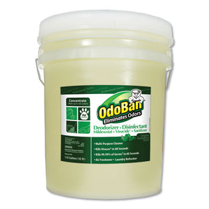 OdoBan® wholesale. Concentrated Odor Eliminator And Disinfectant, Eucalyptus, 5 Gal Pail. HSD Wholesale: Janitorial Supplies, Breakroom Supplies, Office Supplies.