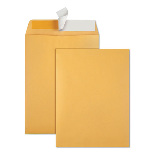 Quality Park™ wholesale. Redi-strip Catalog Envelope,