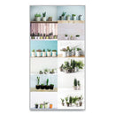 Blueline® wholesale. 12-month Wall Calendar, 12 X 17, Succulent Plants, 2021. HSD Wholesale: Janitorial Supplies, Breakroom Supplies, Office Supplies.