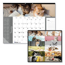 Blueline® wholesale. Pets Collection Monthly Desk Pad, 22 X 17, Furry Kittens, 2021. HSD Wholesale: Janitorial Supplies, Breakroom Supplies, Office Supplies.