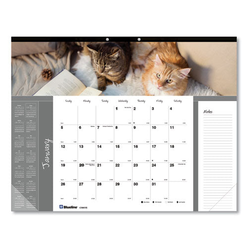 Blueline® wholesale. Pets Collection Monthly Desk Pad, 22 X 17, Furry Kittens, 2021. HSD Wholesale: Janitorial Supplies, Breakroom Supplies, Office Supplies.