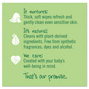 Seventh Generation® wholesale. Seventh Generation Free And Clear Baby Wipes, Unscented, White, 64-pack, 12 Packs-carton. HSD Wholesale: Janitorial Supplies, Breakroom Supplies, Office Supplies.