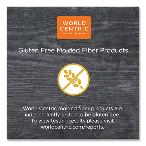 World Centric® wholesale. Fiber Trays, Pla Lined, Pfas Free, 1-compartment, 8.2 X 5.7 X 0.7, Natural, 500-carton. HSD Wholesale: Janitorial Supplies, Breakroom Supplies, Office Supplies.