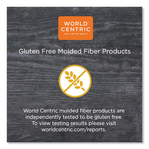 World Centric® wholesale. Fiber Trays, Pla Lined, Pfas Free, 1-compartment, 9.1 X 7.1 X 0.7, Natural, 500-carton. HSD Wholesale: Janitorial Supplies, Breakroom Supplies, Office Supplies.